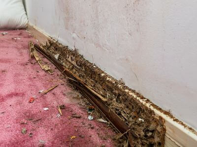 About Emergency Plumber Jacksonville FL - emergency plumber experts in Jacksonville, FL